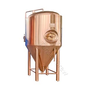 Stainless Fermentation Tank 7BBL
