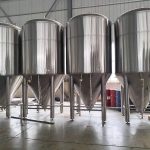 Fermentation Control: Best Practices for Consistent Beer Quality